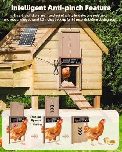 Automatic Chicken Coop Door Solar Powered, Pet Deluxe Chicken Door with Programmable Timer & Light Sensor, Anti-Pinch Safety, 7W Solar Panel, Aluminum Alloy with 10 Wire Clips Solar Chicken Door-Brown - color: Brown