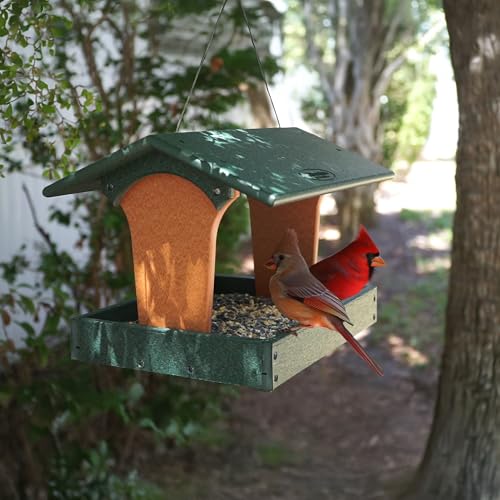 DutchCrafters Plastic Poly Covered Roof Hanging Fly Through Bird Feeder Open Side Platform Seed Tray for Outside Outdoor Garden - Amish American Made in USA (Turf Green & Cedar) - color: Turf Green & Cedar