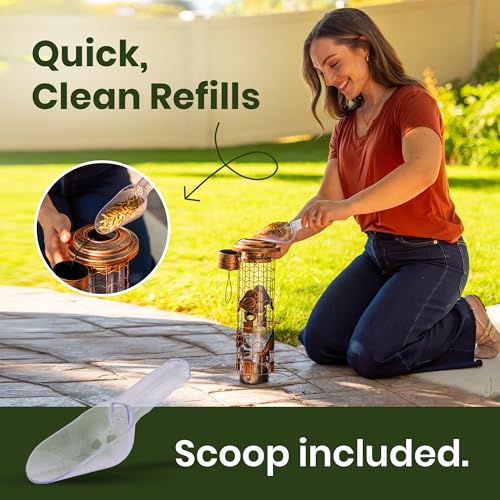 Squirrel-Proof Bird Feeders for Outdoors Feeds Mealworms and Seeds - Large | 3-Pound Capacity, Weather-Resistant Hanging Tube for Birds Includes Seed Scoop, 4 Hook-Shaped Perches, Anti-Squirrel Weights