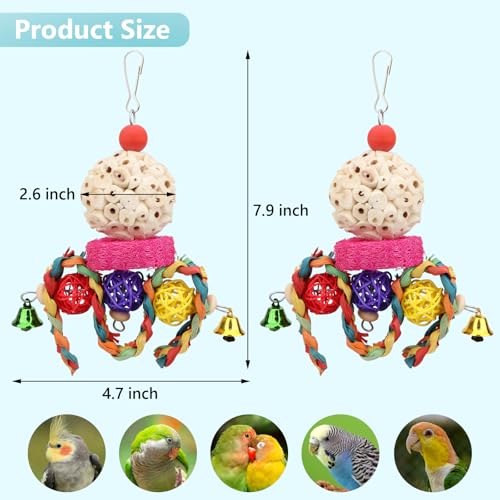 Wontee Bird Toys 3 Pack Parrot Foraging Hanging Toys Sola Ball Natural Nuts Chew Toys for Cockatiels Conures Parakeets Budgies Senegal (2 Pack-Colorful) - size: 2 Pack-colorful