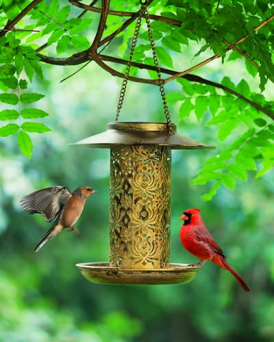 SWEETFULL Solar Bird Feeder for Outdoors Hanging, Metal Wild Bird Feeder for Cardinals Solar Garden Lantern with S Hook as Gift Ideas for Bird Lovers (2LBs Heavy Duty Weather Resistance birdfeeders) - size: 8"x8"