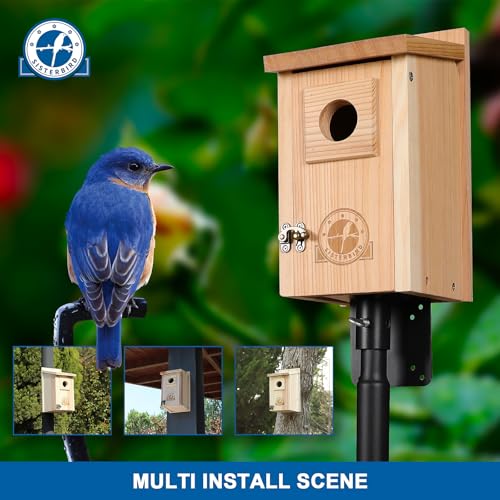 SISTERBIRD Bluebird Houses for Outside, Blue Bird Houses for Outdoors, Premium Bird House, Pack of 2 Bluebird House, Wooden Birdhouses Kits for Adults for Durable Yard Decor - color: Burly Wood -- 2PK