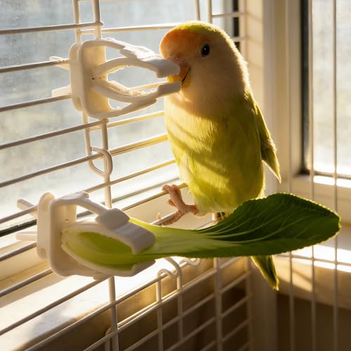 12 Pack Bird Skewers, Bird Kabob Fruit Vegetable Holder for Parrots Conure Cockatiels, Metal Bird Cage Feeder Clips with Hooks, Foraging Toys Supplies - color: white 12pcs