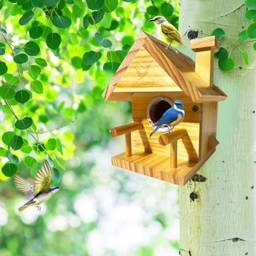 Bird Houses for Outside, Bird House Clearance with Metal Predator Guard for Bluebird Wren Swallow Finch, Cedar Wooden Hanging Birdhouse for Outdoor Garden, Lacquer Finished