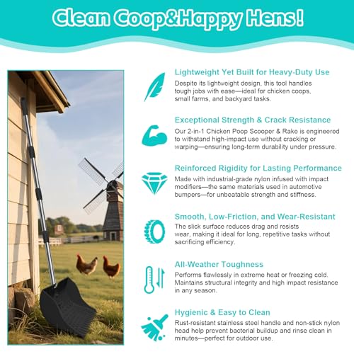 12" 2-in-1 Chicken Poop Scooper & Rake (US Patent No. D1124534), 3-Shape Sifting Holes Chicken Coop Rake, Stainless Steel Handle (20–61") - Litter Scoop Sand & Sifting Shovel (Black) - color: Black