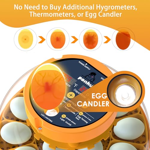 16 Duck Eggs Incubator with Phone App, Automatic Incubator with Custom Mode | Chicken Incubators for Hatching Eggs with Humidity, Temperature Control, Small Incubator with Egg Turner Tray for Beginner