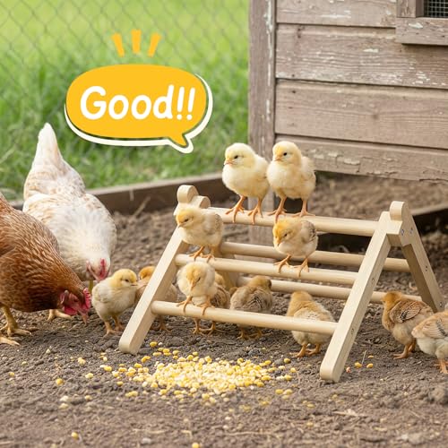 Chick Perch Foldable, Chick Toys Stable & No Assemble | Baby Chick Toys for Stand Training, 12.44" ×11.02" ×7.44" Chick Roosting Perch for Chicks Brooder | Coop (L) - size: 12.44" ×11.02" ×7.44"
