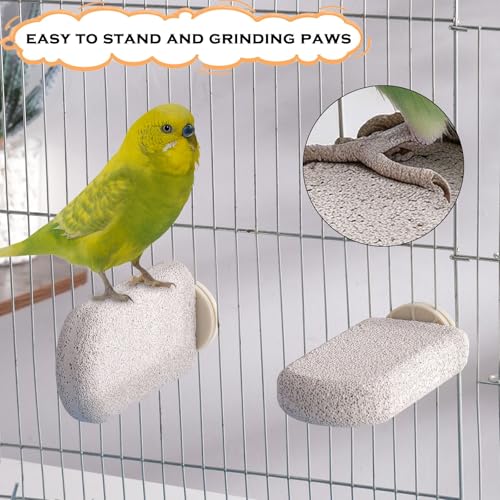 4pcs Bird Perch Stands Foot Claws Trimmer Beak Grinding Stone Parrot Climbing Chewing Toys Cage Accessories for Small Medium Birds Budgies Lovebird Conure (Large) - size: Large