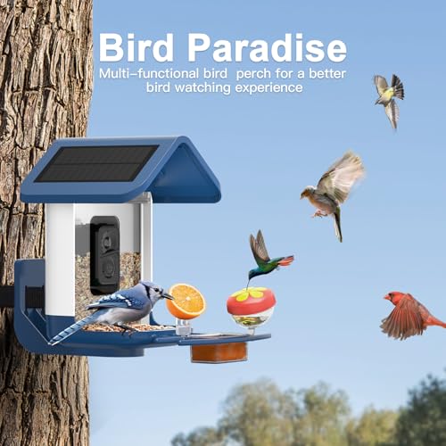 Bird Feeder with Camera Solar Powered : Smart Camera Bird Feeder 2K Live Feed Cam for Outdoor Backyard - Ai Identify Auto Capture Videos Pictures, Gifts for Birdlover Mom Dad, 2.6GHz WiFi - color: White Blue
