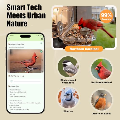 Window Bird Feeder with Strong Suction Cups & Smart Waterproof Bird Camera | 2K Clear Vision, AI Bird Recognition Tech, Real-Time Alerts, Easy to Use, Detachable Tray, 2.4G, USB Powered, for Home - color: Black