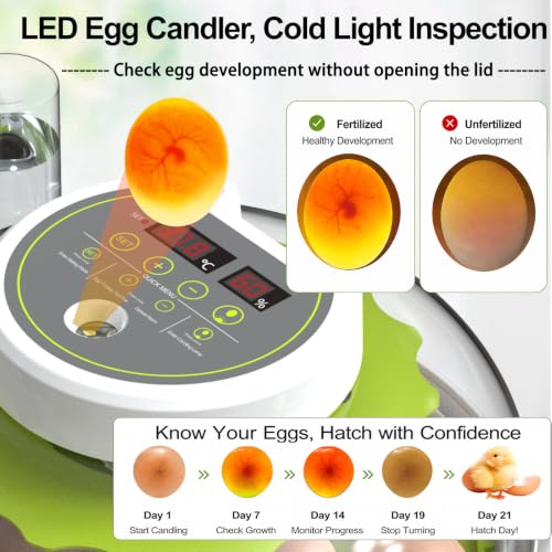 18/60 Egg Incubator with Humidity Display, Incubators for Hatching Eggs, Egg Candler, Automatic Egg Turner, Poultry Egg Incubator for Hatching Chicken Duck Goose Bird Quails- Green 2 Egg Trays - color: Green