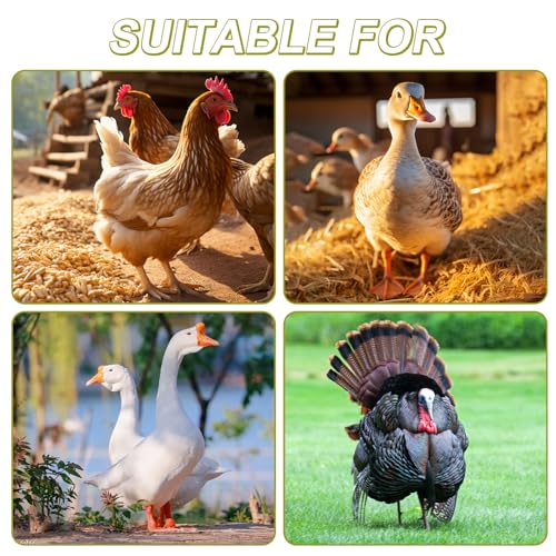 100 Pcs Adjustable Chicken Leg Rings | Multicolor Numbered Chicken Identification Leg Bands, Durable Poultry Leg Bands for Chickens Turkey Goose Ducks