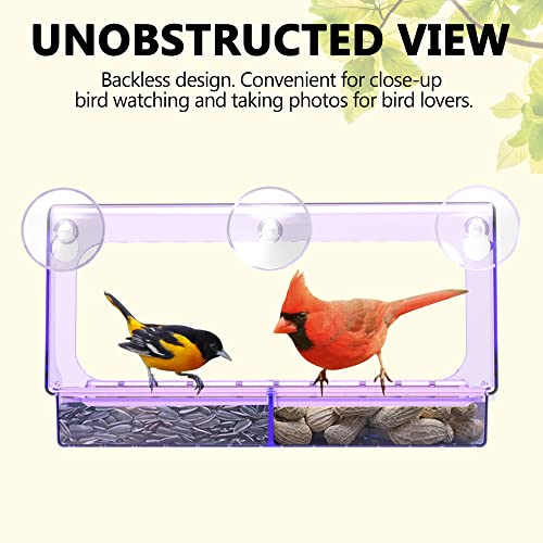 LUJII Purple Window Bird Feeder with 5 Super Strong Suction Cups, All One Piece Construction, Removable Seed Tray, Accommodates Large Birds Like Cardinals or Blue Jay for Outside Wild Bird Feeding - color: Purple, size: M
