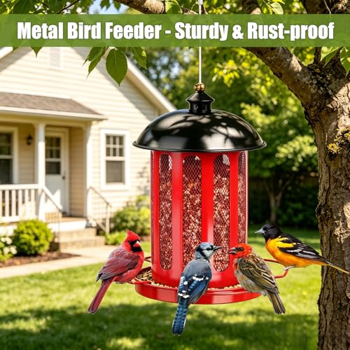 Bird Feeder, 4LB Large Capacity Bird Feeders for Outdoor Hanging | Heavy Duty Metal, 4 Perches, With Drain Holes, Wild Birdfeeder, For Outside Garden Yard Decor, Retro Lantern Shape - color: Red