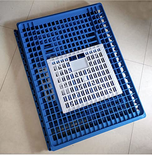 Chicken Transport 3 Door CAGE COOP Crate Chicken Quail Pigeons