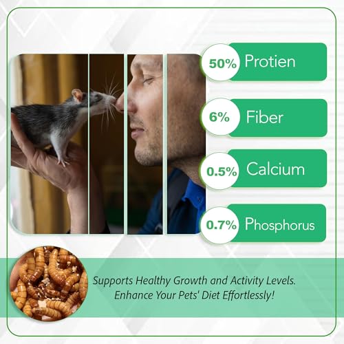Live Medium Mealworms for Fishing Bait & Pet Feeding - High Protein, Nutrient-Dense Larvae for Birds, Reptiles & Fish - Ideal for All Life Stages - Fresh - 250 Count