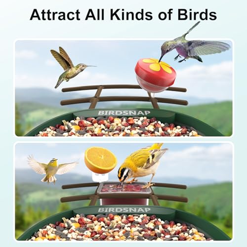 birdsnap® PAV Bird Feeder with Camera Solar Powered 2K Live Video 32GB Card | AI Bird Species Identification, Instant Arrival Alerts, IP65 Waterproof, Wild Bird Feeders for Outdoors, Gift for Bird Lovers - color: Dark Green