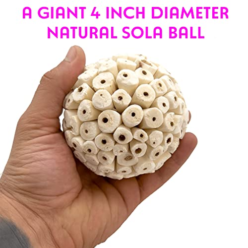 by M&M 5108 Mega 4 Inch Sola Ball Pk2 - Large Handmade Natural Sola Wood Bird Foot Toys, Shreddable Spheres, Great for Chewing Beaks and Grabbing Feet, Excellent for Med to Lg Birds - color: Mega Sola Balls, size: Pack 2