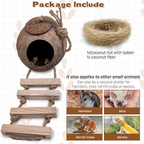 PINVNBY Coconut Bird Nest Hut with Ladder, Coconut Bird Hideout Lovebird House Hanging Toy for Budgies Parakeet Cockatiels Conure Canary Finch Pigeon (with Natural Coconut Fiber)