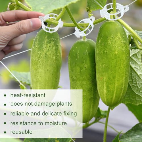 200 Pcs Plant Support Garden Clips, Tomato Clips, Crop Clips for Vine Vegetables, Fixing Tomato, Sweet Pepper, Eggplant, Makes Plants Grow Upright and Healthier - color: White