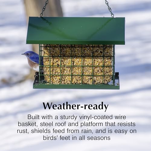C&S EZ Fill Deluxe Suet and Snak Feeder with Roof & Platform, Suet Feeder for Wild Birds, Holds one 56 Ounce Suet Cake - style: Deluxe Feeder 1-Pack