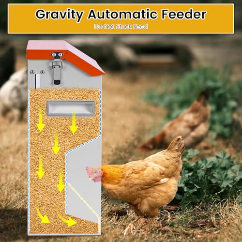Automatic Chicken Feeder Large 20Lbs No Waste Poultry Feeder Trough | Metal Hanging Chicken Feeder Trough Dispenser Outdoors with Lid and Visual Window for Chicken Poultry Turkey Duck