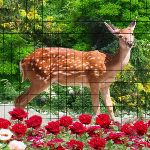 Black PVC Coated Welded Wire Fence 36" x 25' Roll, 2"x3" Mesh, 16 Gauge | Vinyl Coated Garden Fencing, Yard & Pet Barrier, Chicken Wire Fencing, Dog Enclosure Mesh, Vegetable Plant Protector - color: Black, size: 2''x3'' 16GA 36''x25'