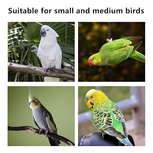 Suction Cup Bird Perch,Natural Wood Parrot Window/Bath/Car/Travel/Shower Perches Stand Portable Parakeet Grinding Stick Training Toys for Small and Medium Birds(Twist Grain) - color: 1 Pcs-Wood Stick