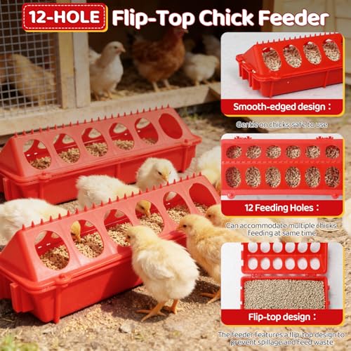 2 Pack Flip Top Chick Feeder Trough 12 Holes Holes No Waste Spill Proof
