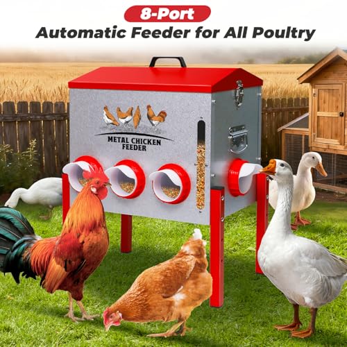Automatic Chicken Feeder 50LBS Large Capacity, 8 Anti-Waste Ports Metal Poultry Feeder with Height Adjustable Stand, Waterproof Rodent Proof Feed Box with Lid Viewing Window for Hens Ducks Geese - size: 50LBS