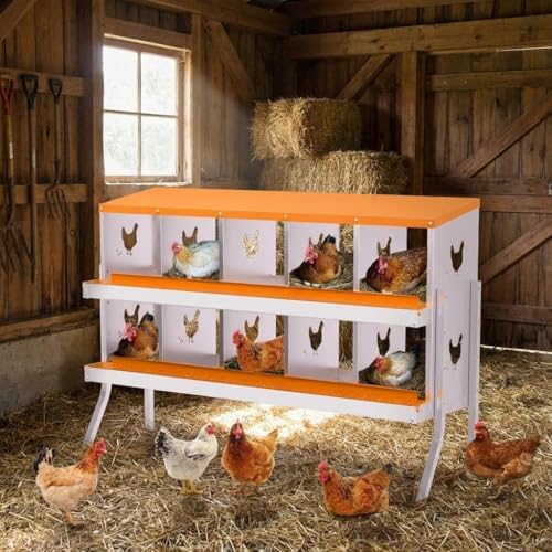 Chicken Nesting Box, 10 Compartment Galvanized Steel Chicken Laying Boxes, Heavy Duty Rustproof Chicken Coop with Easy Egg Collection for Backyard Farms - with Bracket Legs, Orange