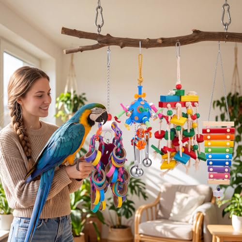 Seenelling 4 Pcs 3 Pcs Extra Large Bird Toys for Parrots,Ring and Ball - style: Ring and Ball