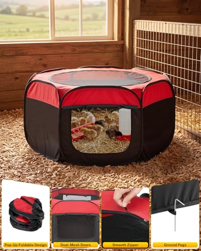 Magicfly Brooder Box for Chick, Chicken Brooder Box Holds up to 15 Chicks | Pop-Up Brooder Box for with Dual Doors, Chicks Starter Kit Includes Chicken Feeder, Waterer, Perch - color: Basic Starter Kit