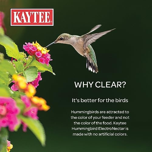 Kaytee Hummingbird ElectroNectar Wild Bird Food, 16 oz Concentrate 2 Pack, Makes 128 oz of ElectroNectar - size: 16 Fl Oz (Pack of 2), style: 16 Fl Oz Concentrate (Pack of 2)