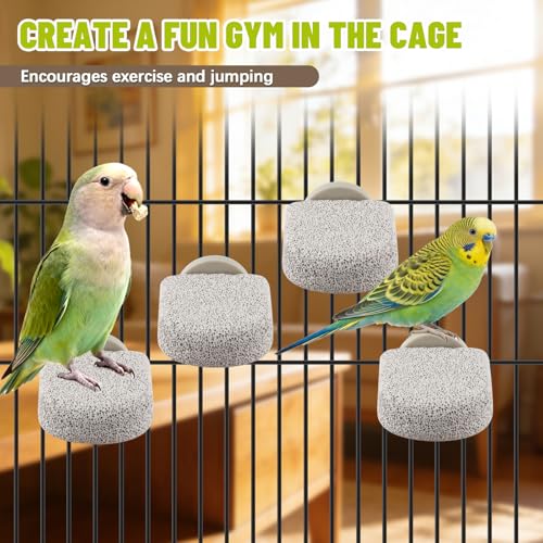 4 Pcs Lava Ledge Bird Perch Platform Set for Cages | Fits Small/Medium Parrots (Budgies, Conures) | Volcanic Calcium Stone for Beak Grinding & Claw Trimming | Tool-Free Mount