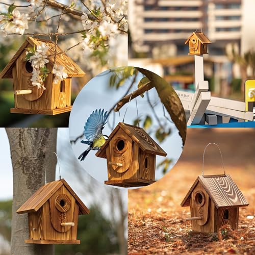 Bird House Kit for Kids & Adults, DIY Cedar Birdhouse with Paint | Mortise & Tenon, Carbonized Cedar, 3 Entrance Sizes, Stainless Steel Hooks, for Bluebird Wren Cardinal