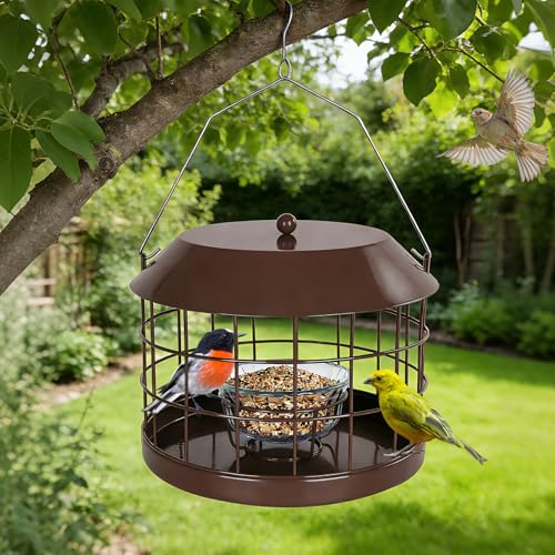 Gbekery Caged Bluebird Feeder for Mealworms with Glass Bowl, Squirrel Proof Bird Feeder for Small Birds Only, Detachable Hook, Large Space, Outdoors Weatherproof, Metal, Brown - style: Brown Glass Bowl