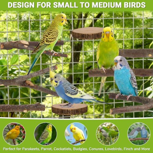8 Pack Natural Wood Bird Perches for Cage, Wooden Parrot Perch | Wooden Parrot Stand Platforms, Hardwood Branches, Climbing & Chew Toy for Bird Cage Accessories, Ideal for Parakeets, Budgies - size: Medium Size-8 Pack