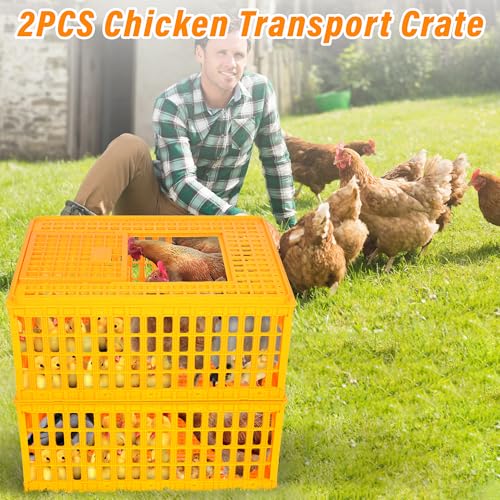 lukar 2PCS Poultry Carrier Crate Heavy Duty Chicken Transport Cage | Plastic Chicken Carrier Crates Transport Box for 10-13 Adult Chickens Duck Goose Birds, 29.5 x 21.7 x 13 Inch