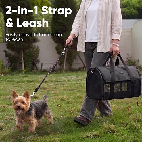 FUKUMARU Cat Carrier Soft, Ultra Lightweight Airline Approved Dog Carrier | Kitten Carrier with Anti-Scratch Mesh, Breathable Small Dog Carrier Bag, Collapsible Pet Carrier for Cats Under 15 lb, Black - color: Black