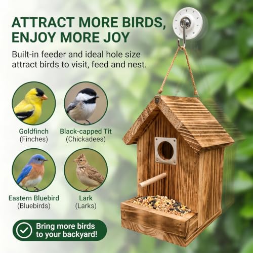 Window Bird House for Outside, Wooden Birdhouse with Vacuum Suction Cup, Clear Viewing Back, Built-in Feeder Attracts More Birds, Hang on Windows or Trees, Easy-Clean Nest Box - color: Back