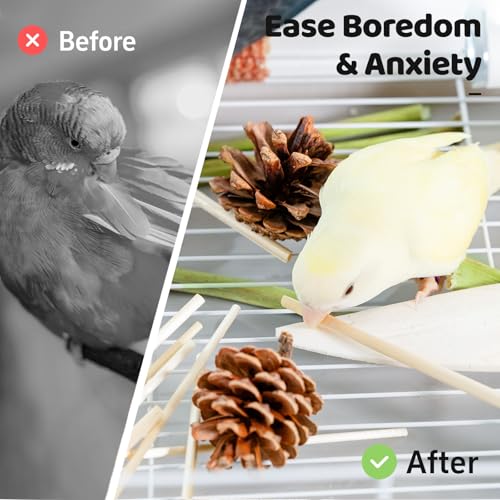 40 Pcs Bird Parrot Toys, Natural Bird Foraging Toy for Cockatiels, Lovebirds, Budgies, Small to Medium Parrot