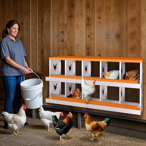 10 Compartment Galvanized Metal Chicken Nesting Box with Support Legs, Easy Install & Clean Roll Out Egg Laying Boxes for Backyard Chicken Coop, Anti-Rust Egg Protection Nest,Orange - color: Orange, size: 10 holes