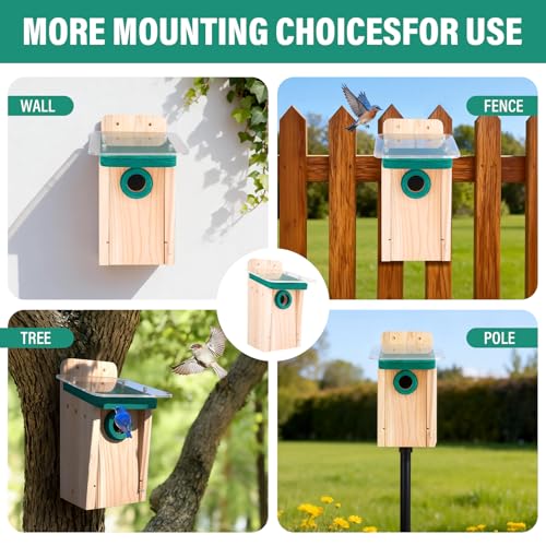 2-Pack Cedar Bluebird House for Outdoors, 1.5" Entry, DIY Kit | 3/4-inch Thick Wood With Double-Layer Roof, Cleaning Door & Assembly Guide; Ideal For Chickadees & Wrens - style: Contemporary
