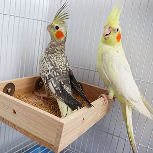 Bird Feeding Cups, Natural Wooden Parrot Perch Stand, Birds Food Dish, Parakeets Feeder Bowl, Cage Accessories for Small Animals Rat Hamster Guinea Pig Chinchillas Budgies Cockatiels Love Birds - size: 7.9 × 5.9 Inch