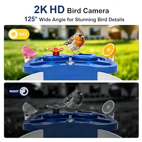 Smart Bird Feeder with Camera Solar Powered, AI Species Identification, 2K HD Video, Instant Arrival Alerts, Weatherproof Design for Outdoor, Best Gift for Bird Lovers(Blue) - color: Blue