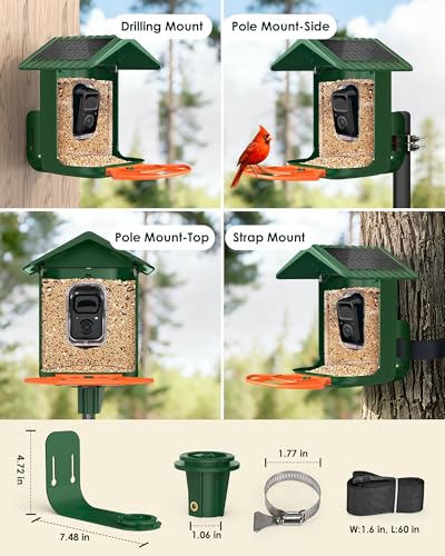 Bird Feeder with Camera Solar Powered 2K Video with 32GB Card Auto Capture | Instant App Alert, AI Identify, Easy Refill, 1.8L Capacity, IP65 Weatherproof, Pole/Bracket Mount, 3 DIY Add-ons, 2.4G Wifi - color: Green