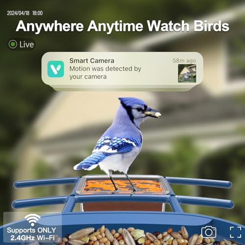 Bird Feeder with Camera Solar Powered : Smart Camera Bird Feeder 2K Live Feed Cam for Outdoor Backyard - Ai Identify Auto Capture Videos Pictures, Gifts for Birdlover Mom Dad, 2.6GHz WiFi - color: White Blue