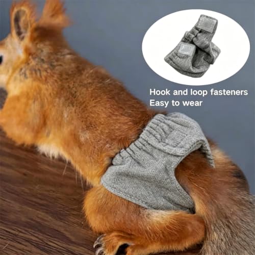 2 Pcs Squirrel Diapers- Reusable Washable Squirrel Diapers Absorbent with Strong & Flexible Pants for Squirrel,Fancy Rat,Groundhog Guinea Pig Small Sugar Glider (M)