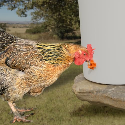 Chicken Waterer Nipples, Pack of 15 (Orange), Horizontal Side Mount, Anti-Leak Automatic Water System for Poultry, Suitable for Chickens, Duck, Quail, Includes Drill Bit & Installation Tool